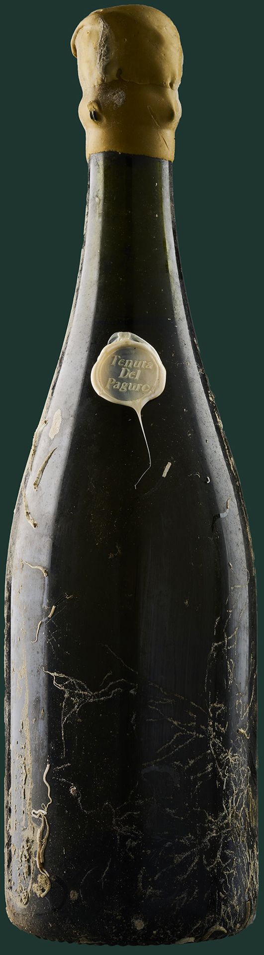 WBSS24 Tenuta Del Paguro Mare Urchin 2012